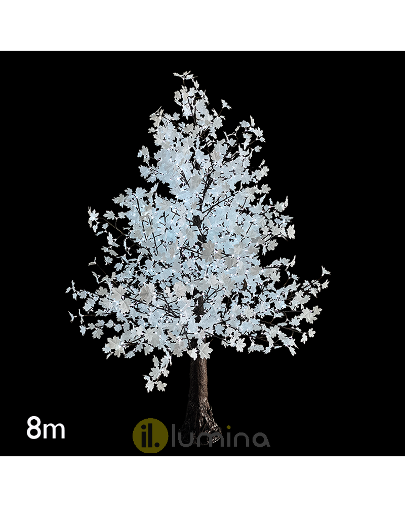 Maple tree 8 meter with 4000 24V IP44 LED lights