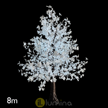 Maple tree 8 meter with 4000 24V IP44 LED lights