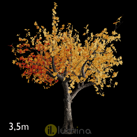 Autumn tree warm ligth 3,5 meter with 1664 24V IP44 LED lights