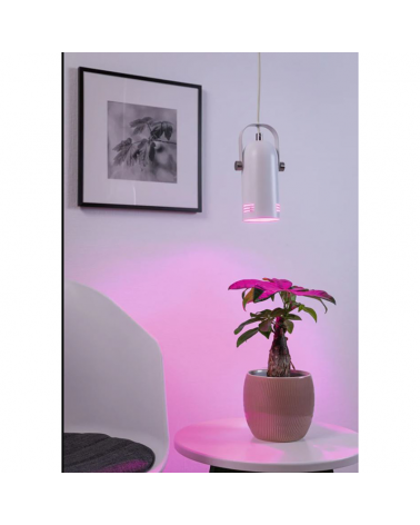 Lámpara de techo de metal con pantalla giratoria 10 cm E27 15W