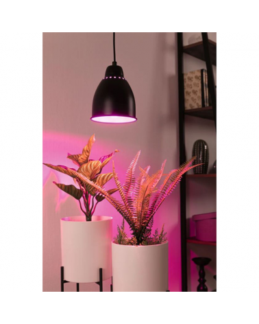 14.5cm metal ceiling lamp with various finishes E27 40W