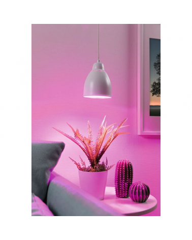 Lámpara de techo de 14,5cm de metal varios acabados E27 40W