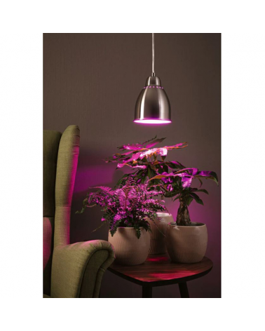 14.5cm metal ceiling lamp with various finishes E27 40W