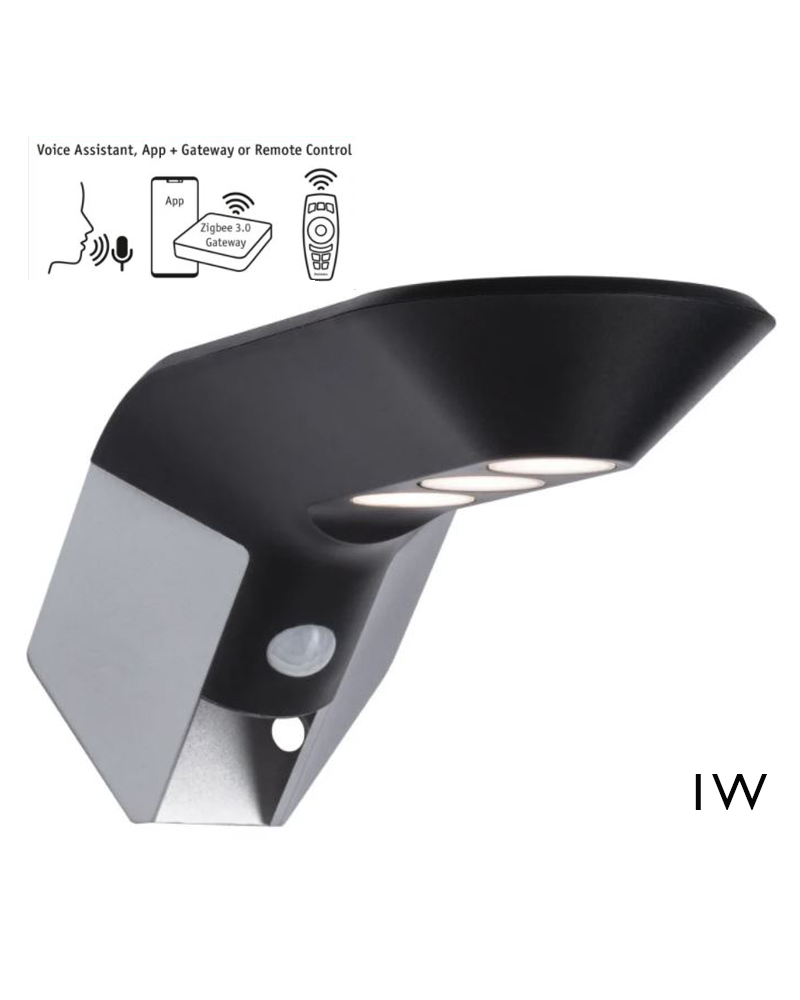 Solar wall light LED anthracite 1W IP44 3000K with remote control and voice control