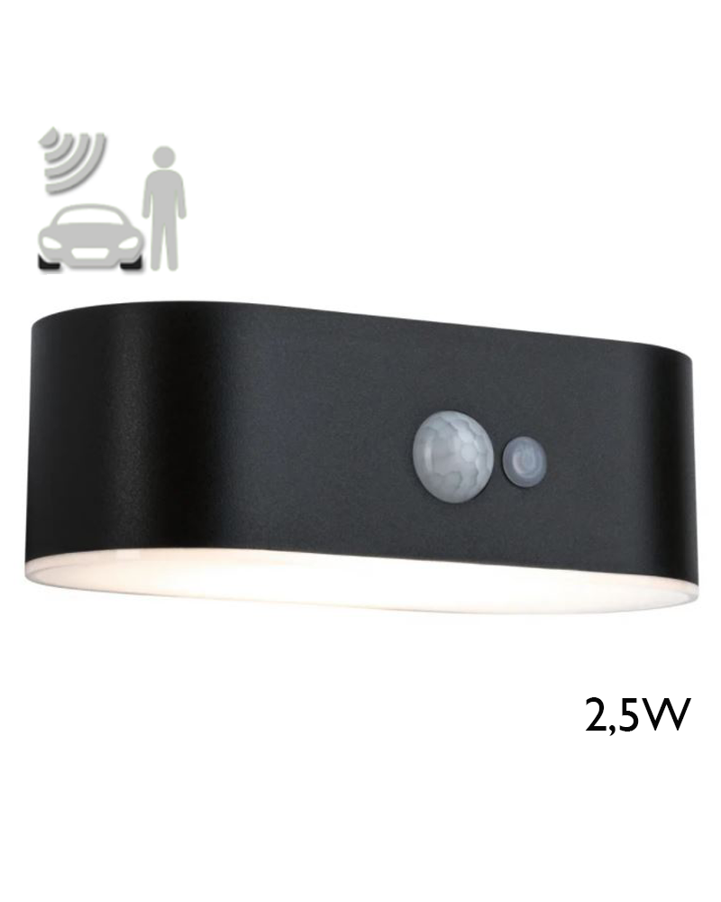 2.5W IP44 3000K LED solar wall light with motion sensor