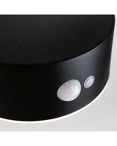 5.5W IP44 3000K LED solar wall light with motion sensor