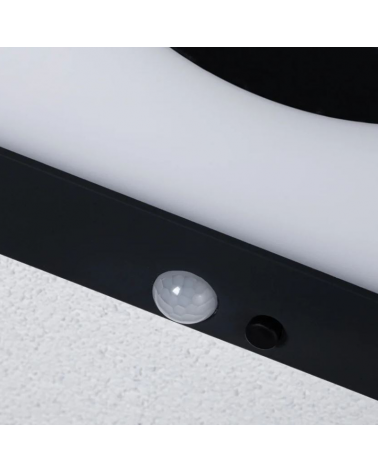 LED 1.2W IP44 3000K metal solar wall light with motion detector