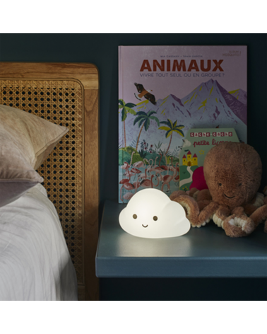 LED Night Lamp Cloud Shape Color Touch Control Rechargeable Battery