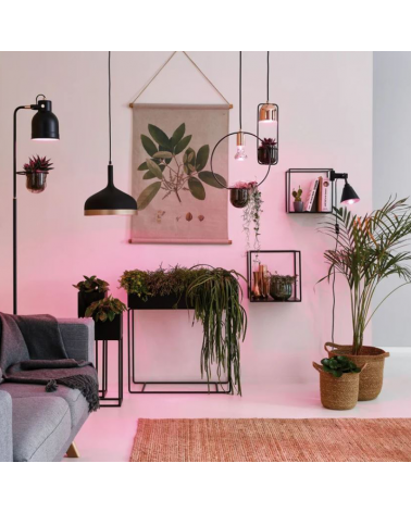 Lámpara de techo para planta interior de metal negro y cobre 20W GU10