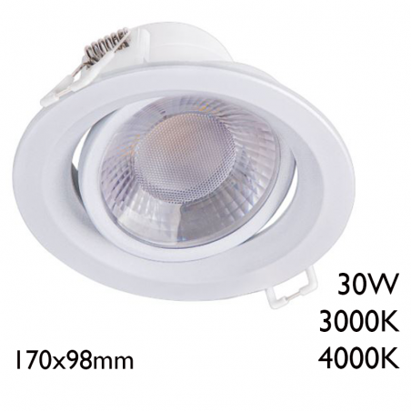 Downlight empotrable LED 30W 25° Blanco
