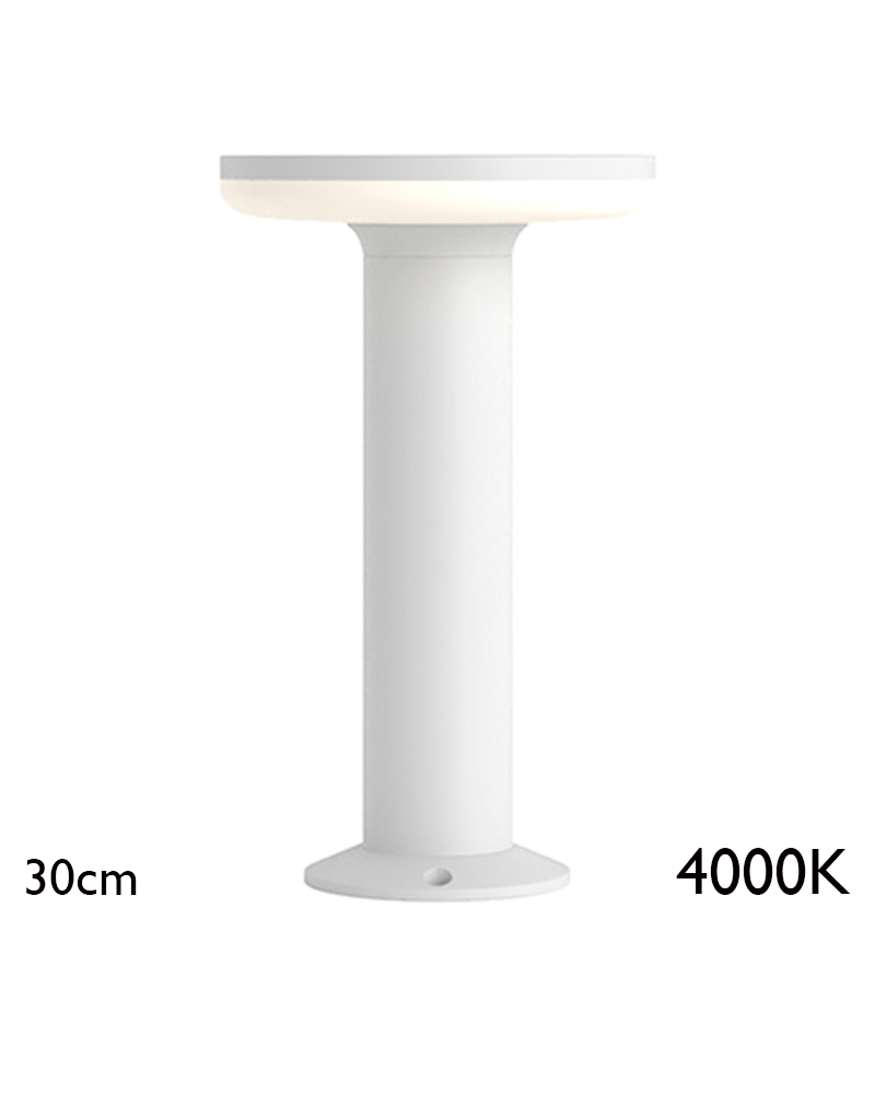 Outdoor beacon 30cm in aluminum and polycarbonate IP65 LED 12W 4000K