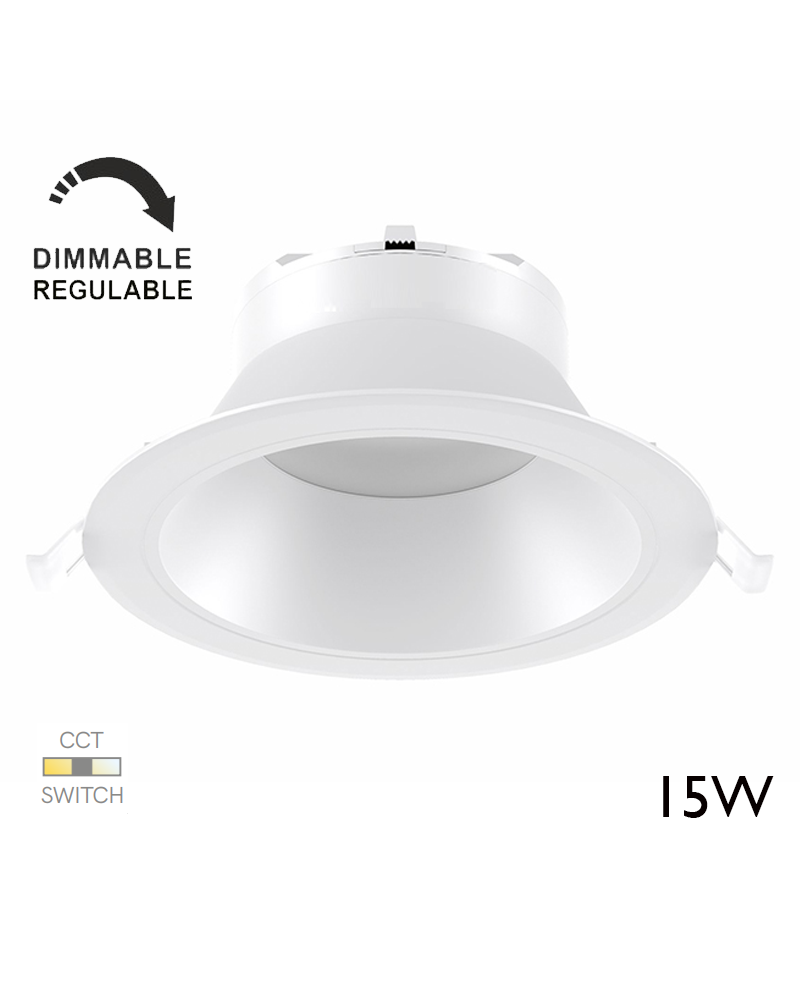 LED downlight ring 15W round white polycarbonate recessed 15cm Switch CCT Dimmable