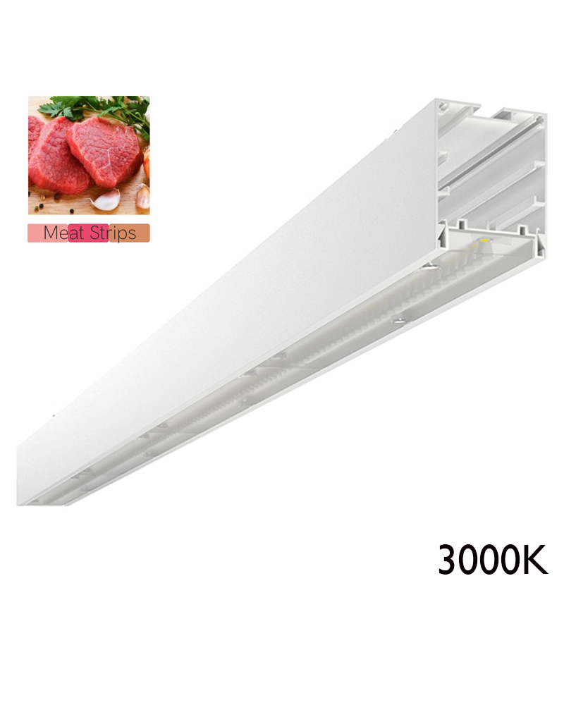 LED Ceiling lamp for butcher shop 3000K aluminum On/Off