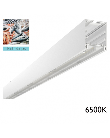 Lámpara de techo aluminio LED para pescadería 6500K On/Off