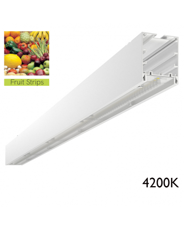 LED Ceiling lamp for greengrocers and greengrocers 4200K aluminum On/Off