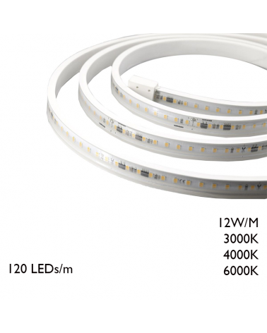 Roll of 50 meters of IP65 LED strip 120 Leds per meter 12W/m