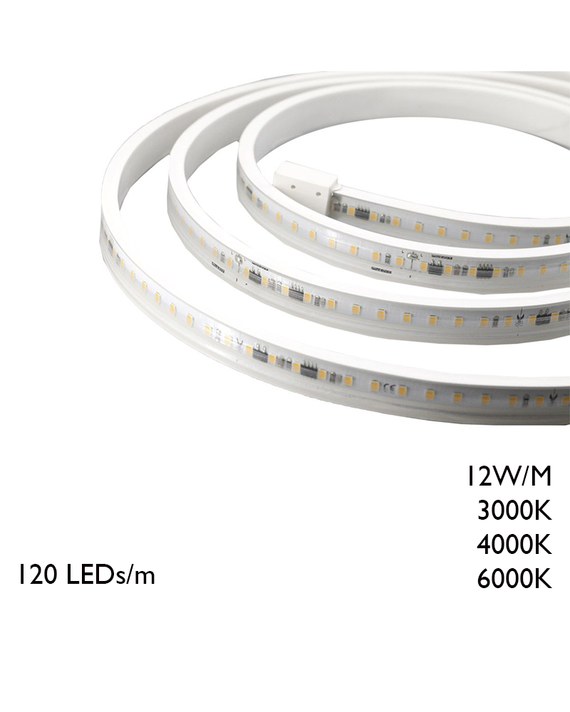Rollo de 50 metros de tira LED IP65 120 Leds por metro 12W/m