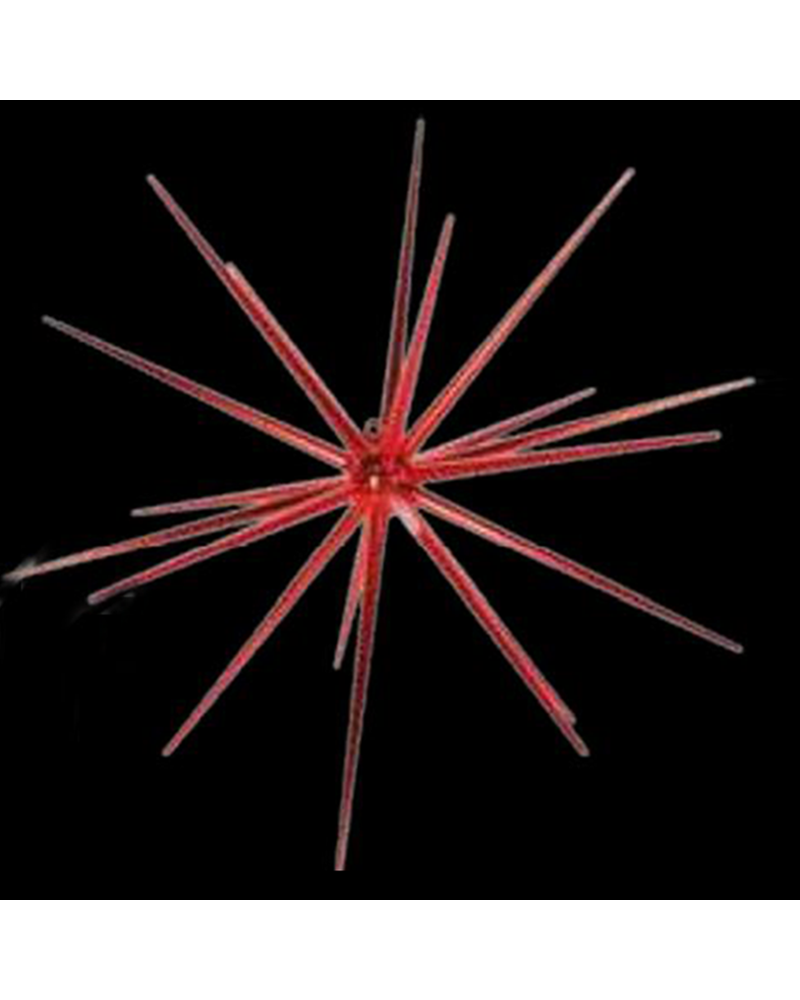 Mountable star 60cm various colors