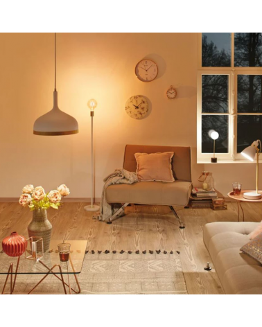 Lámpara de techo 30cm de metal 20W E27