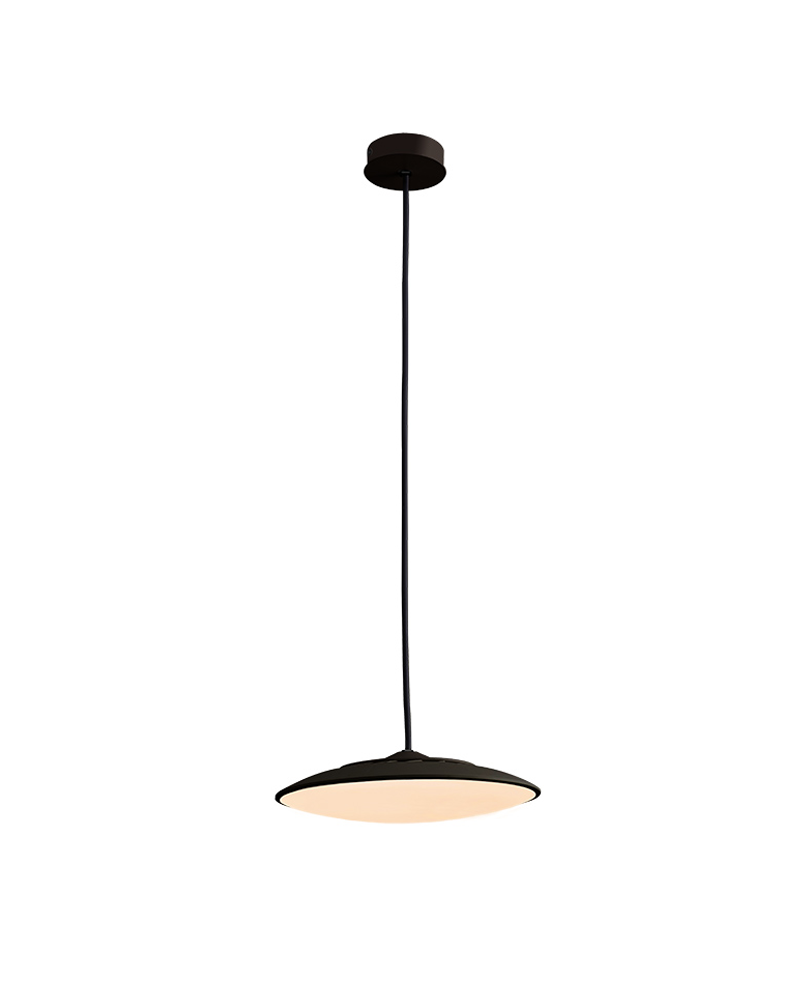 LED pendant ceiling lamp flat screen 25cm black finish 16W