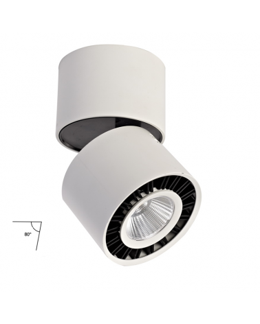 Cylindrical ceiling spotlight white finish LED 12W aluminum tilting 80º
