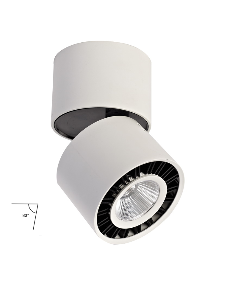 Cylindrical ceiling spotlight white finish LED 12W aluminum tilting 80º