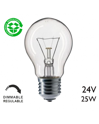 Clear standard light bulb 25W Low voltage 24V E27