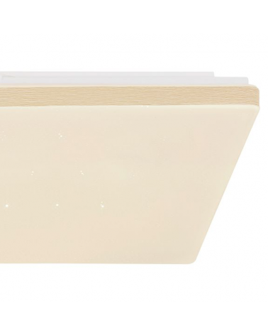 Ceiling lamp 49.5cm LED acrylic and metal 24W DIMMABLE Compatible with Alexa