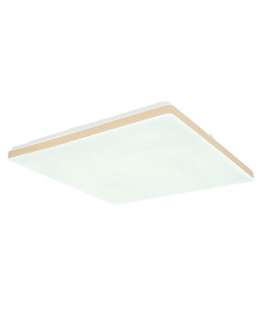 Ceiling lamp 49.5cm LED acrylic and metal 24W DIMMABLE Compatible with Alexa