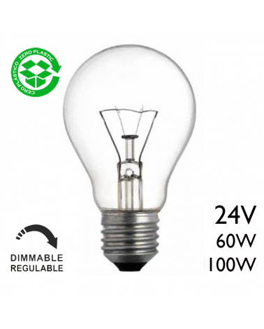 Clear standard bulb Low voltage 24V E27