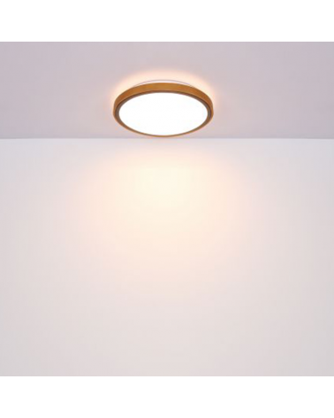 LED ceiling lamp 30,5cm made of metal, acrylic and wood, opal black and brown 12W