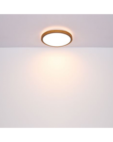 LED ceiling lamp 30cm metal, acrylic and brass 12W DIMMABLE