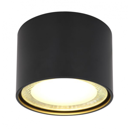 LED cylinder spotlight 11.3cm in diameter, metal, black finish 12W 3000K 980Lm