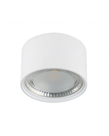 LED cylinder spotlight 11.3cm in diameter in metal, white finish 12W 3000K 980Lm