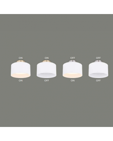 LED cylinder spotlight 14cm in diameter in aluminum upper and lower light 16W and 6W