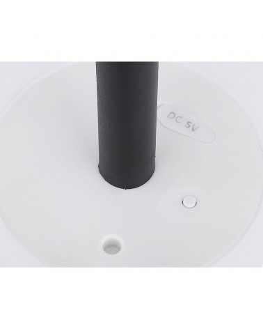 Lampara de pie solar RGBW con altura regulable 70-150cm con mando a distancia