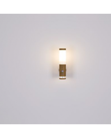 Outdoor LED wall lamp 35cm stainless steel E27 15W and LED 1.2W 3000K