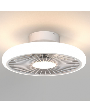 White ceiling fan 30W Ø51.2cm LED ceiling light 55W remote control DIMMABLE light and remote control