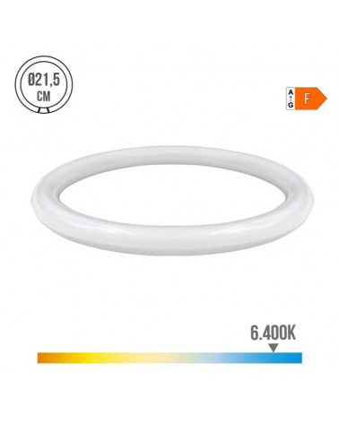 Tubo circular LED G10Q 15W 1500 Lm 6400º K
