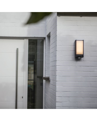 Outdoor wall light LED dark grey 27cm made of aluminum and PC 14W 3000K MOTION SENSOR