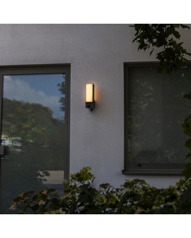 Dark grey aluminum and PC outdoor wall light 32.5cm LED 17.3W IP44 with app movement sensor and full HD camera CCT 2700K-6500K