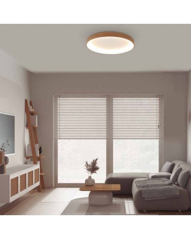 LED Ceiling lamp 65cm diameter 60W metal and acrylic CCT 2700K/4000K/5000K DIMMABLE with remote control and app