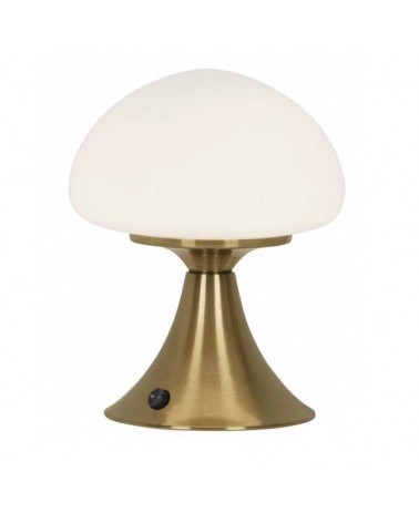 Table lamp 21cm metal and glass with brass and opal finish G9
