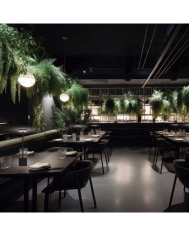 Lámpara de mesa LED 34cm de metal acabado negro 3W 3000K batería interruptor on/off Regulable