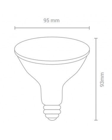 Bulb 95mm PAR 30 LED 13W E27 38º 5000K 1100Lm