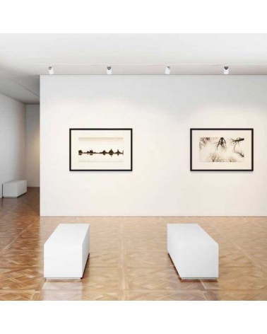 Three-phase LED track light 30W 15º-38º-60º Dimmable CCT Switch 2700K/3200K/4000K