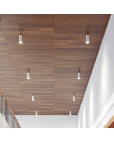 LED spotlight 9.5cm 30W CCT Switch 2700K/3200K/4000K