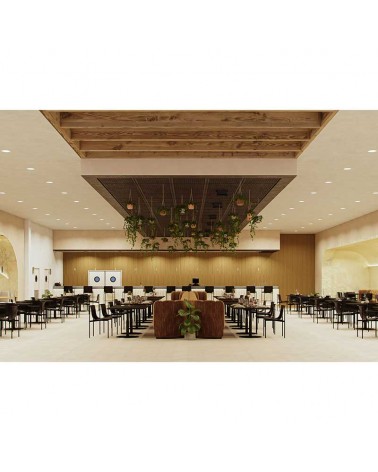 Aro downlight LED 25W redondo policarbonato blanco empotrable 23cm CCT Switch 3000K/4000K/5000K