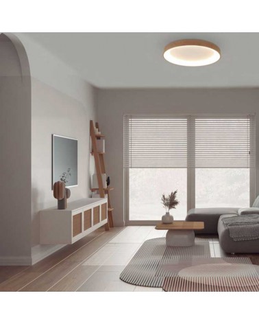 LED ceiling light 45cm diameter 30W warm light 3000K