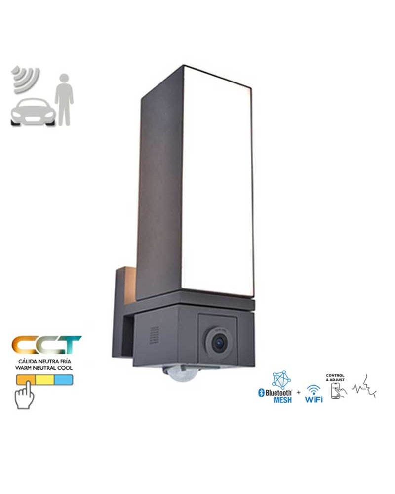 Aplique de exteriores de aluminio y PC gris oscuro 32,5cm LED 17,3W IP44 sensor movimiento app y camara full HD CCT 2700K-6500K